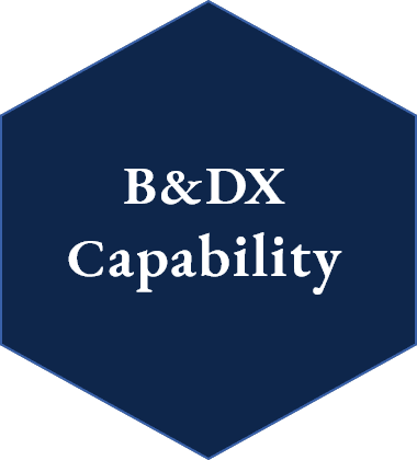 B&DX Capability